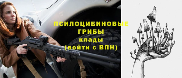 меф Нефтегорск