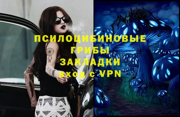 молекула духа Алзамай