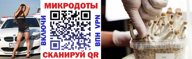 Псилоцибиновые грибы Cubensis  наркошоп  Старая Русса 